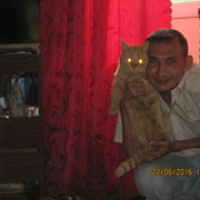  ,   , 42 ,  