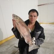 ���������� ����-���������, ���� ������� �����, 32 ����, ������������ ��� ������, ����� � ���������, c�������� ���������, ���������