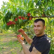 ,   Umut, 37 ,   ,   