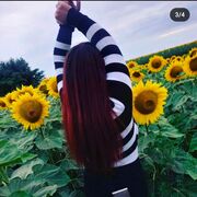  ,   , 21 ,   ,   