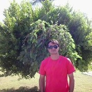  ,   Timur, 50 ,   ,   , c 