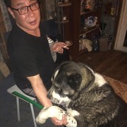  Kanghwa,    , 50 ,   ,   , c 