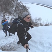 ���������� ������, ���� ������� ������, 29 ���, ������������ ��� ����� � ���������, c�������� ���������