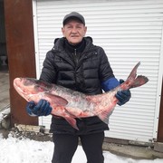  ,   , 60 ,   ,   , c 
