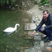  ,   Andrey, 40 ,     , c 