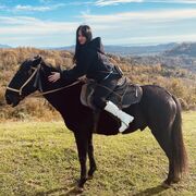 ���������� ������, ���� ������� ���������, 33 ����, ������������ ��� ����� � ���������, c�������� ���������