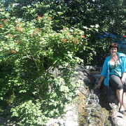 ���������� ������, ���� ������� �������, 55 ���, ������������ ��� ������, ����� � ���������