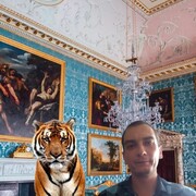 ���������� ���, ���� ������� ����, 36 ���, ������������ ��� ������, ����� � ���������, c�������� ���������