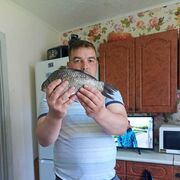 ���������� ���������, ���� ������� �������, 37 ���, ������������ ��� ������, ����� � ���������, c�������� ���������, ���������