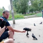  ,   Dmitry, 37 ,     , c 