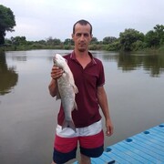  ,   , 40 ,   ,   