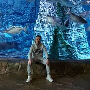 ���������� ���, ���� ������� Vladimir, 37 ���, ������������ ��� ������, ����� � ���������