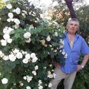 ���������� ������, ���� ������� �������, 55 ���, ������������ ��� ������, ����� � ���������, c�������� ���������, ���������