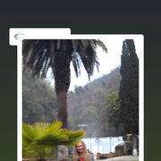  ,   , 62 ,   c 