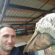  ,   , 44 ,   ,   , c 