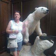  ,   , 54 ,     