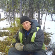 ���������� �����������, ���� ������� ������, 68 ���, ������������ ��� c�������� ���������, ���������