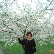  ,   , 65 ,  