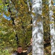  ,   , 45 ,   ,   