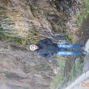  ,  muren, 41