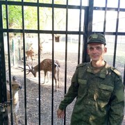 ���������� �����-���������, ���� ������� ��������, 34 ����, ������������ ��� c�������� ���������