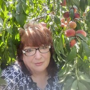 ���������� ���������, ���� ������� ���������, 65 ���, ������������ ��� ����� � ���������, c�������� ���������