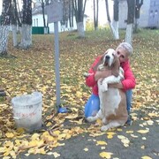  ,   , 47 ,   ,   