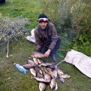 ���������� �����������, ���� ������� ������, 42 ����, ������������ ��� ������, ����� � ���������, c�������� ���������