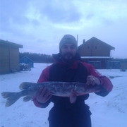 ���������� ������������, ���� ������� ������, 40 ���, ������������ ��� ������, ����� � ���������, c�������� ���������