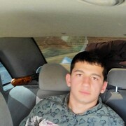  ,   Temur, 31 ,   ,   , c 