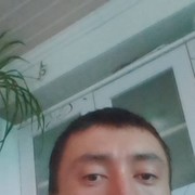  ,   Bolotbek, 36 ,     , c 