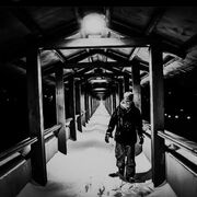 ���������� ������, ���� ������� Nikita, 32 ����, ������������ ��� ���������