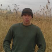 ���������� ��������, ���� ������� ����, 46 ���, ������������ ��� ����� � ���������, c�������� ���������