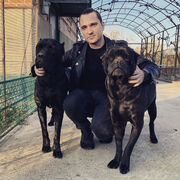 ���������� ����, ���� ������� �������, 36 ���, ������������ ��� ������, ����� � ���������, c�������� ���������, ���������