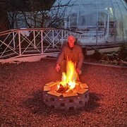 ���������� �����-���������, ���� ������� ������, 43 ����, ������������ ��� ����� � ���������, c�������� ���������, ���������