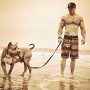 ���������� �������, ���� ������� ������, 38 ���, ������������ ��� ������, ���������