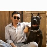 ���������� ���������, ������� ��������, 39