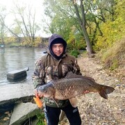 ���������� ������, ���� ������� ��������, 38 ���, ������������ ��� ������, ����� � ���������