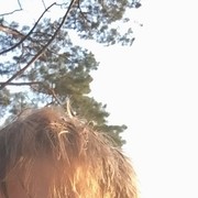 ���������� ����������, ���� ������� �������, 39 ���, ������������ ��� ������, ����� � ���������, c�������� ���������