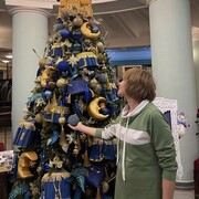 ���������� ������, ���� ������� ��������, 47 ���, ������������ ��� c�������� ���������