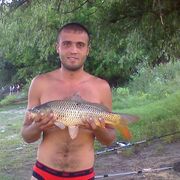 ���������� ���������, ���� ������� ��������, 37 ���, ������������ ��� c�������� ���������