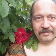  ,   Igor, 60 ,  