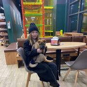 ���������� ���������, ������