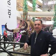  -,   , 48 ,   ,   