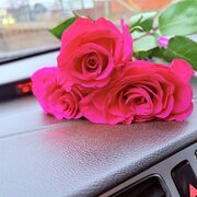 ���������� ���, ���