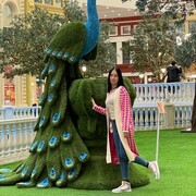 ���������� ������, ���� ������� ����, 30 ���, ������������ ��� ������, ����� � ���������