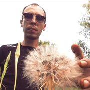 ���������� ���������� �����, ���� ������� ������, 42 ����, ������������ ��� ���������