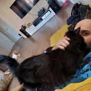 ���������� ������, ���� ������� ������, 32 ����, ������������ ��� ������, ����� � ���������, c�������� ���������, ���������