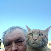  ,   , 53 ,   