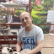 ���������� ����������, ���� ������� �������, 41 ���, ������������ ��� ������, ����� � ���������